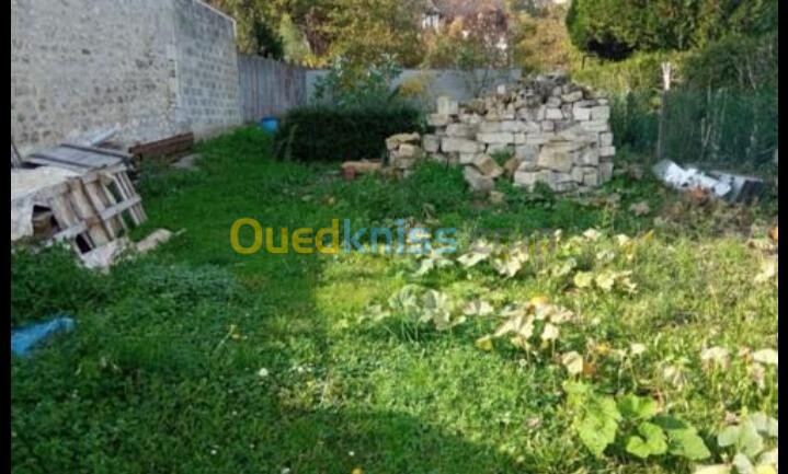 Vente Terrain Alger Bordj el kiffan