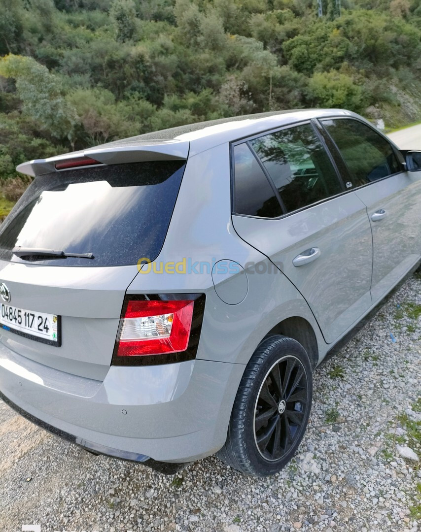 Skoda Fabia 2017 Monte Carlo