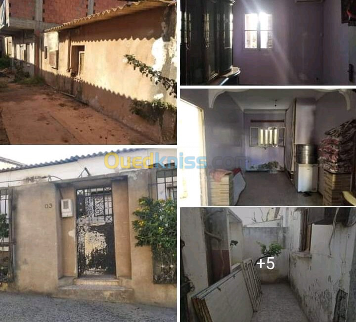 Vente bien immobilier Tipaza Bou ismail