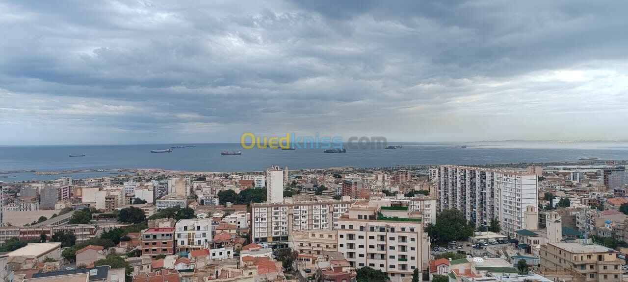 Vente Terrain Alger Kouba