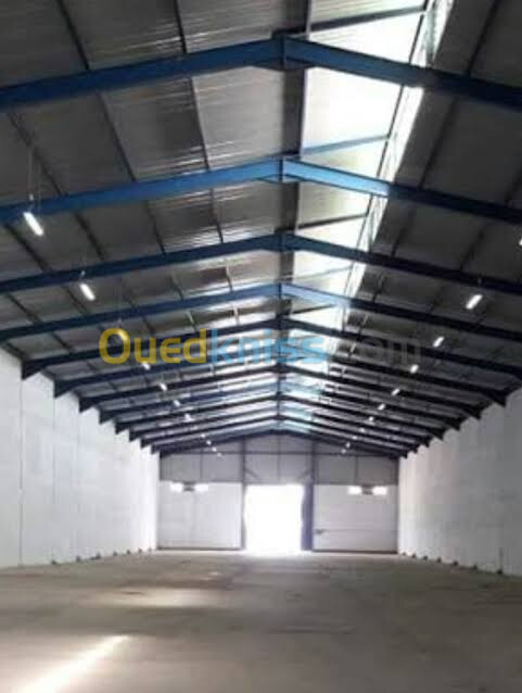 Location Hangar Alger Rouiba