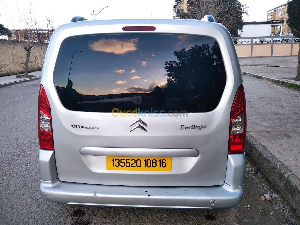 Citroen Berlingo 2008 Berlingo