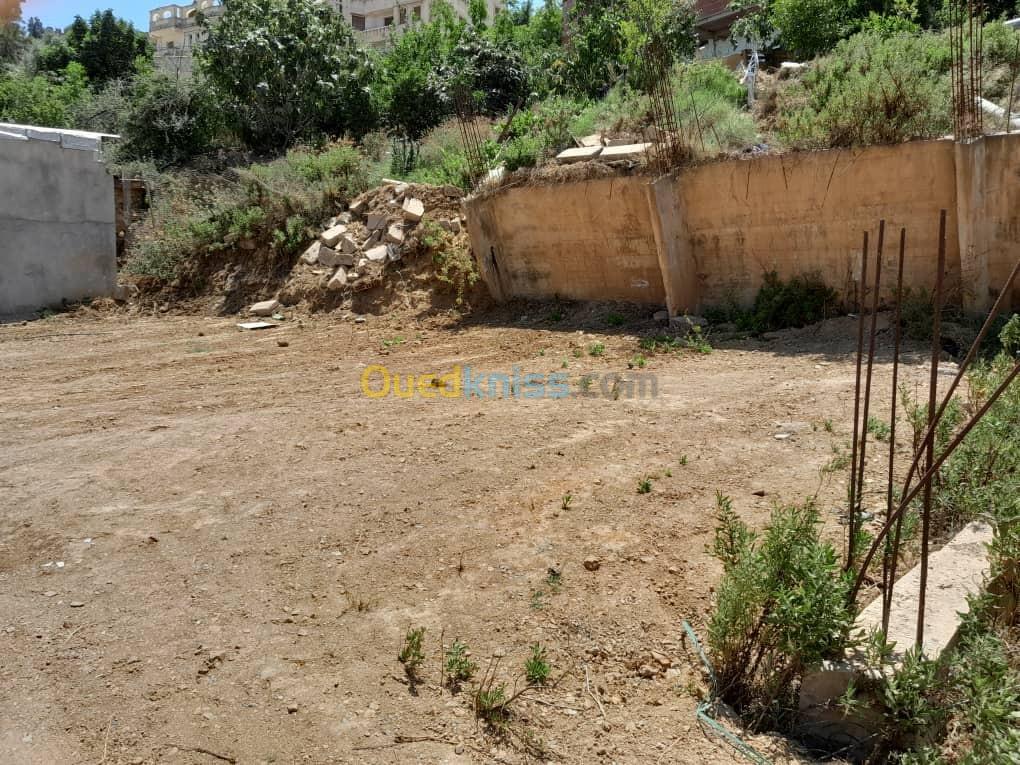 Vente Terrain Blida Bouarfa