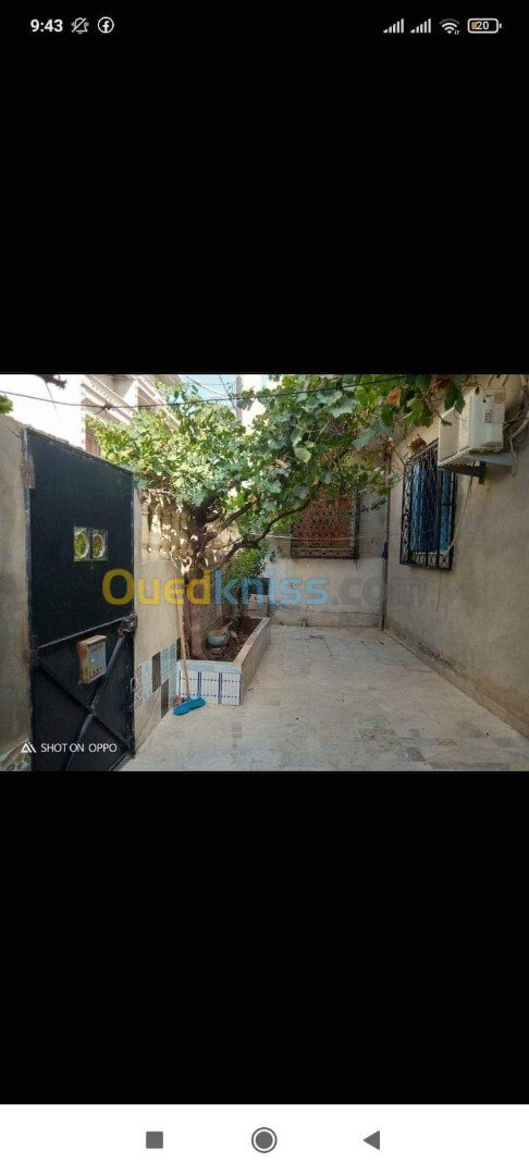 Vente Niveau De Villa F6 Constantine Constantine