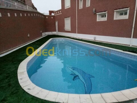 Construction de piscine بناء المسابح