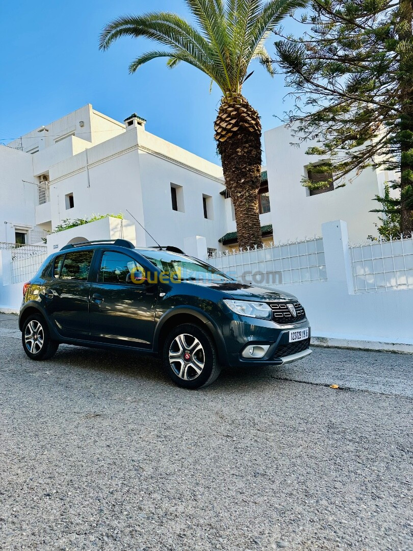 Dacia Sandero 2019 Stepway Techroad