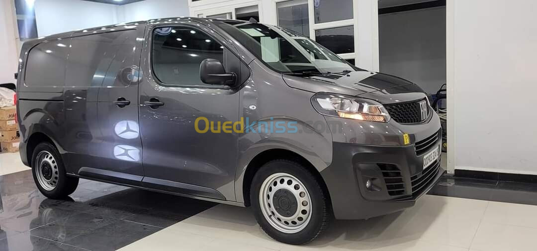 Fiat Skoudo 2024 Fourgon