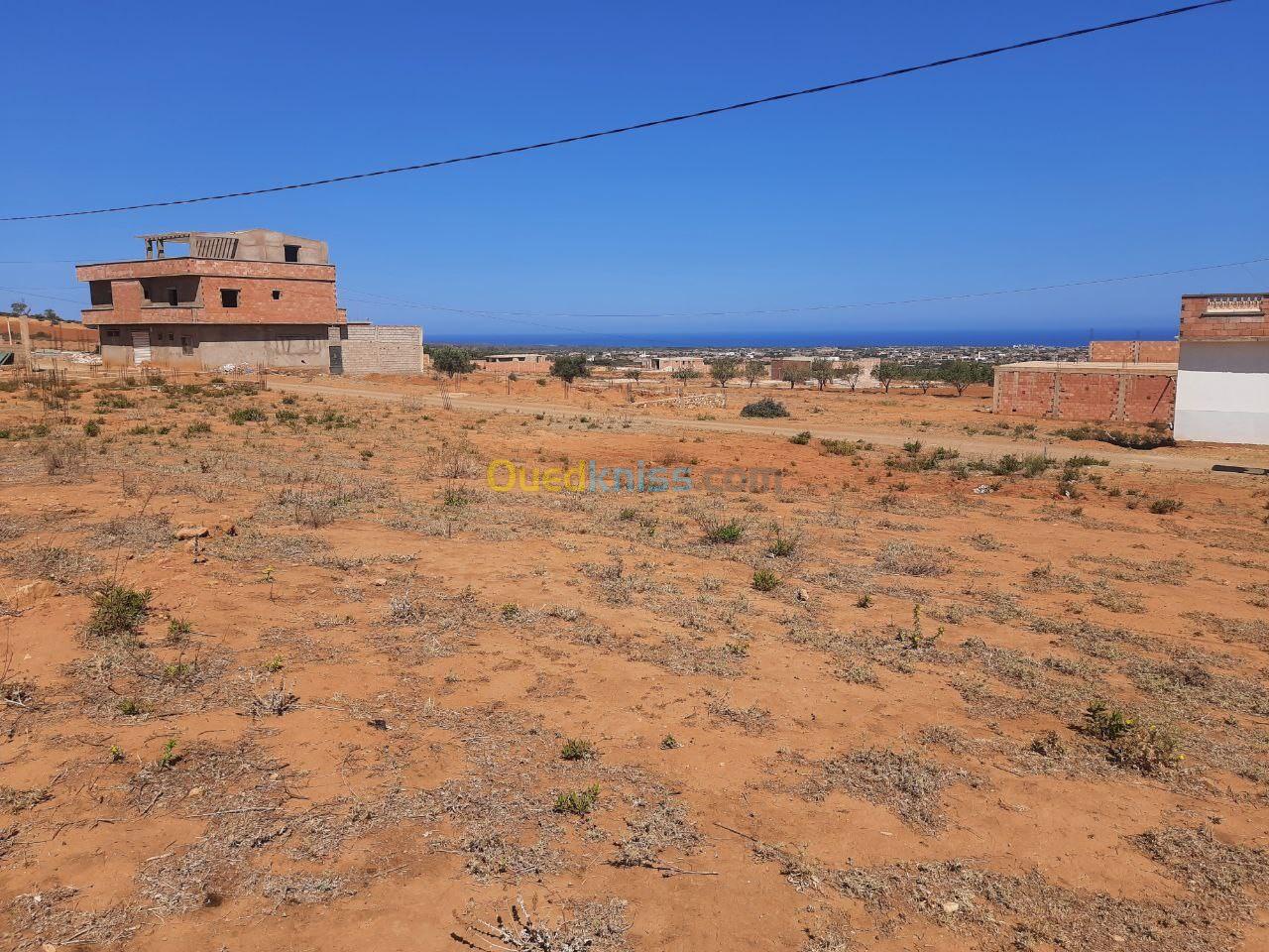 Vente Terrain Mostaganem Sidi lakhdaara