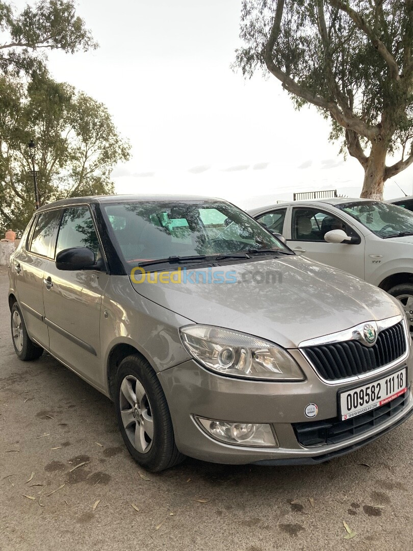 Skoda Fabia 2011 