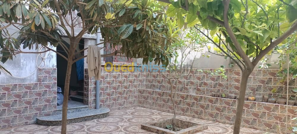 Vente Villa Sidi Bel Abbès Amarnas