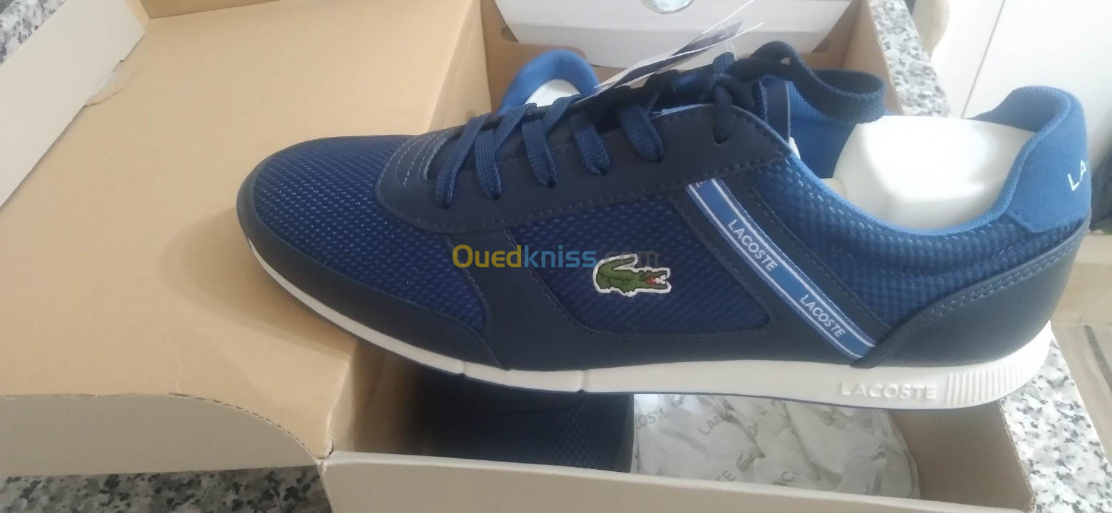 Basket best sale lacoste ouedkniss