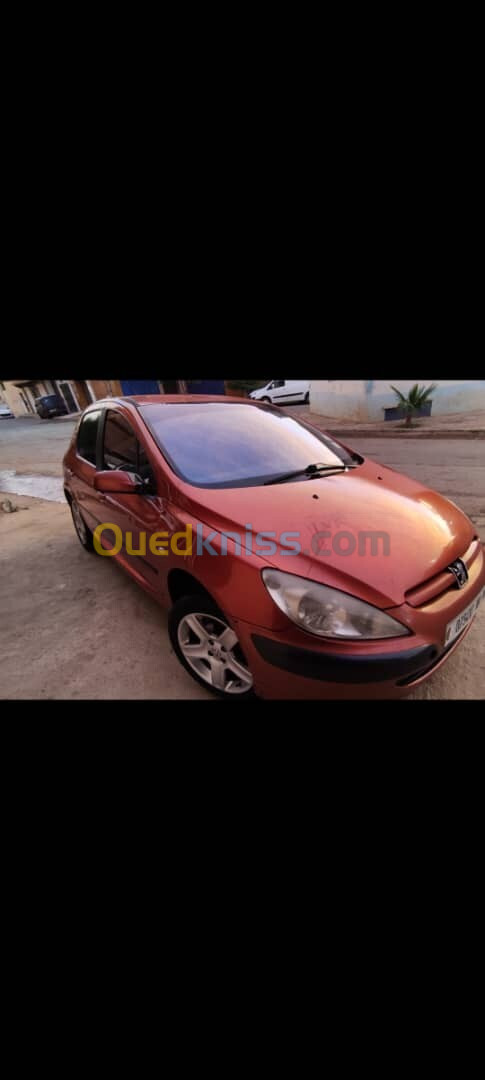 Peugeot 307 2001 XS