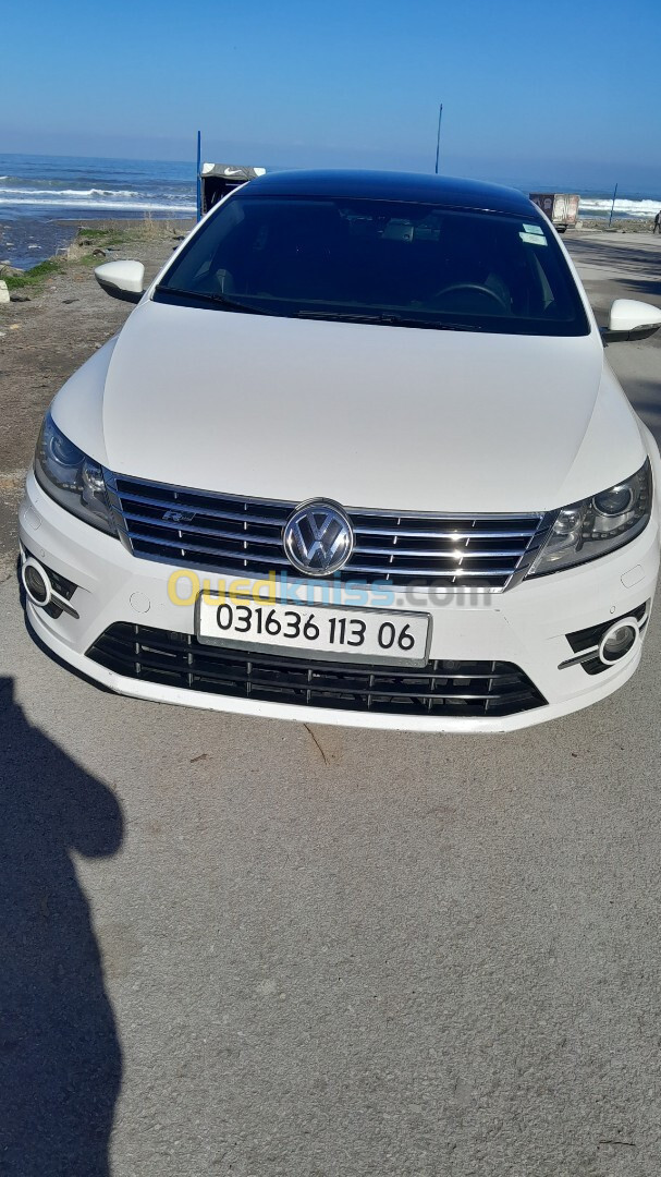 Volkswagen Passat CC 2013 Passat CC