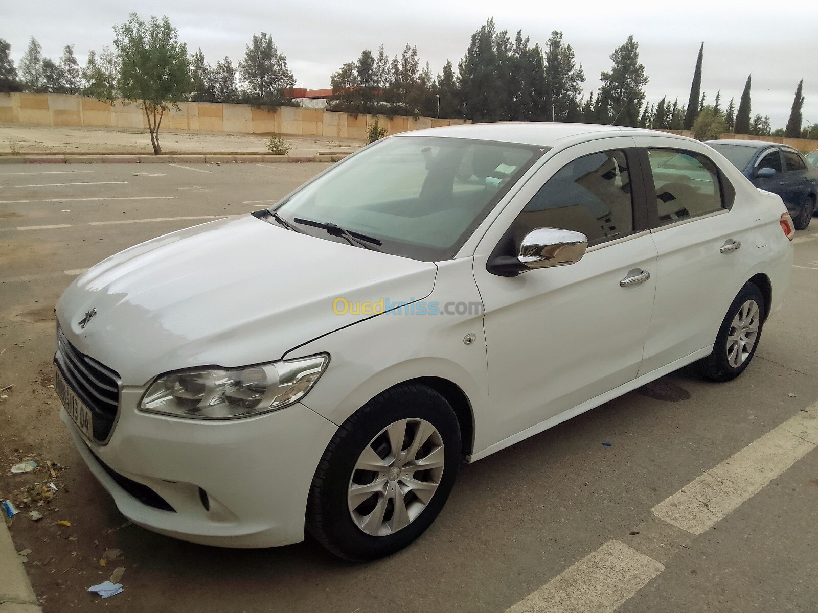 Peugeot 301 2013 Access