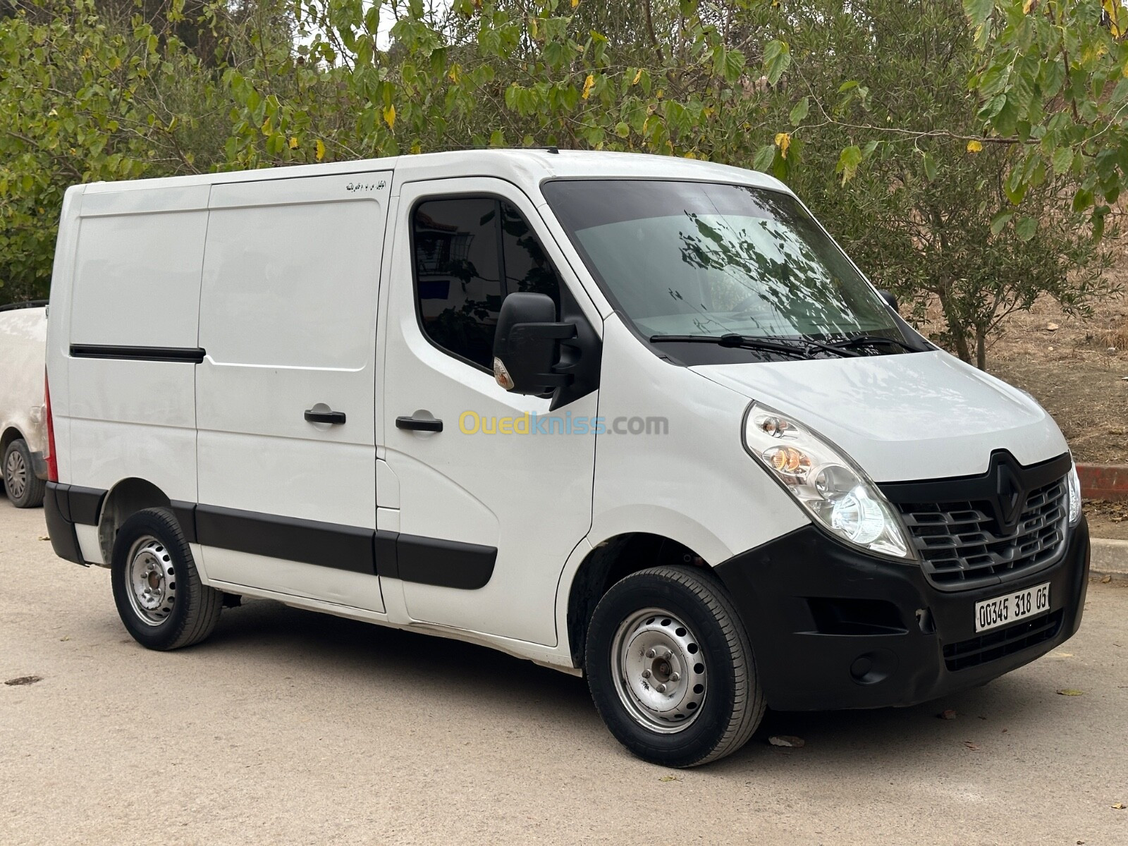 Renault Master 3 caniche 2018