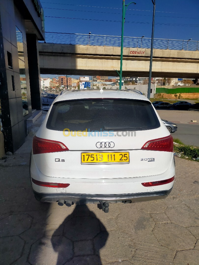 Audi Q5 2011 Off Road