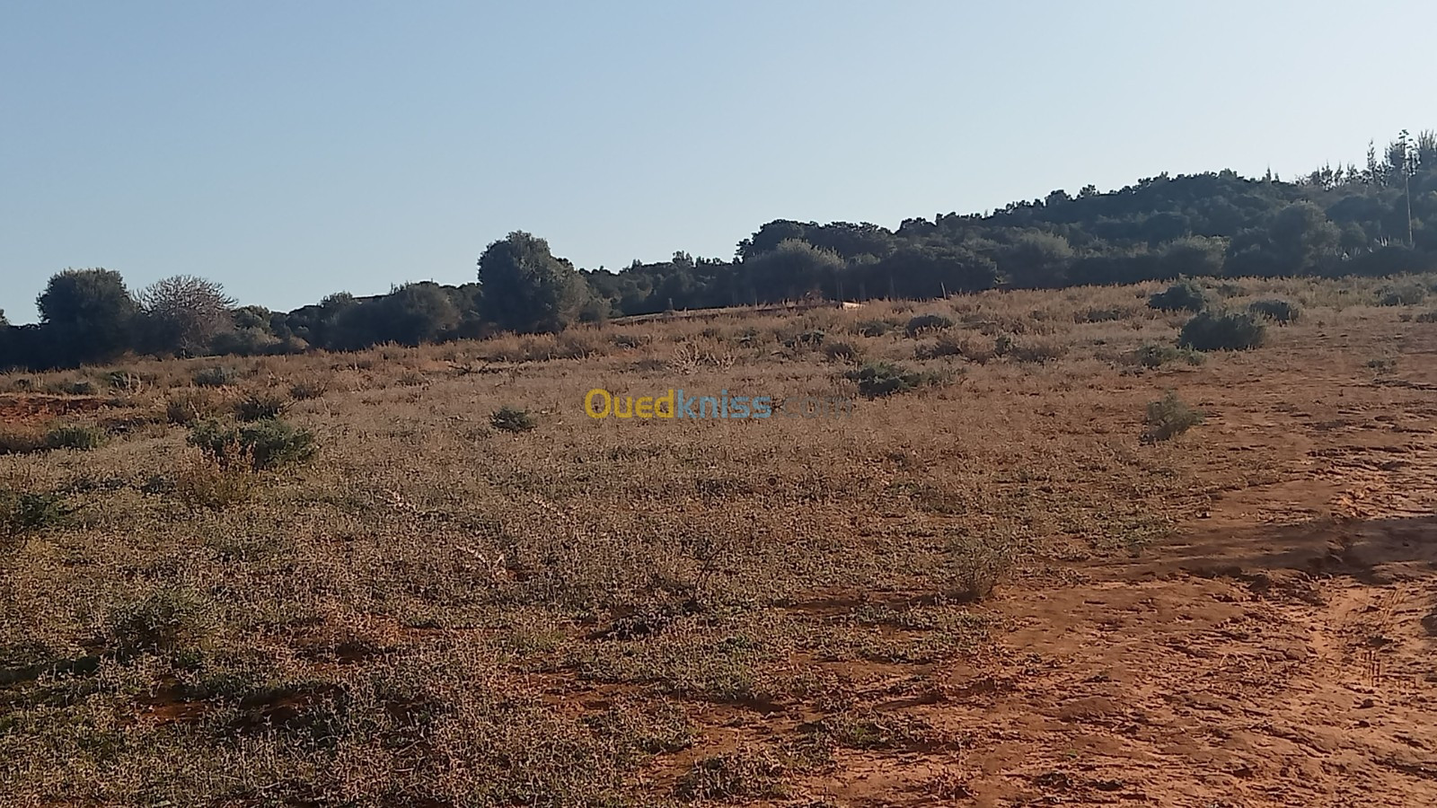 Vente Terrain Mostaganem Sidi lakhdaara