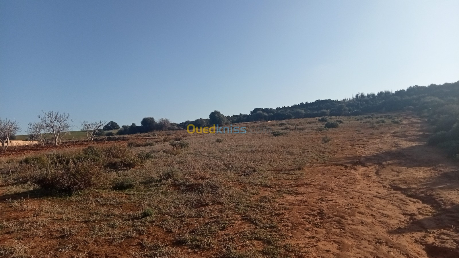 Vente Terrain Mostaganem Sidi lakhdaara