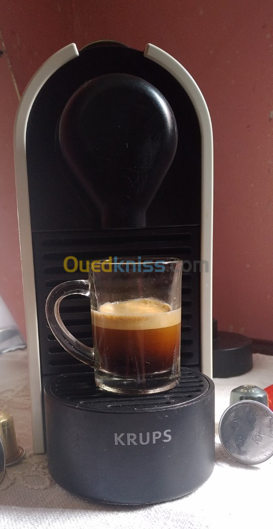 Nespresso U-Milk 