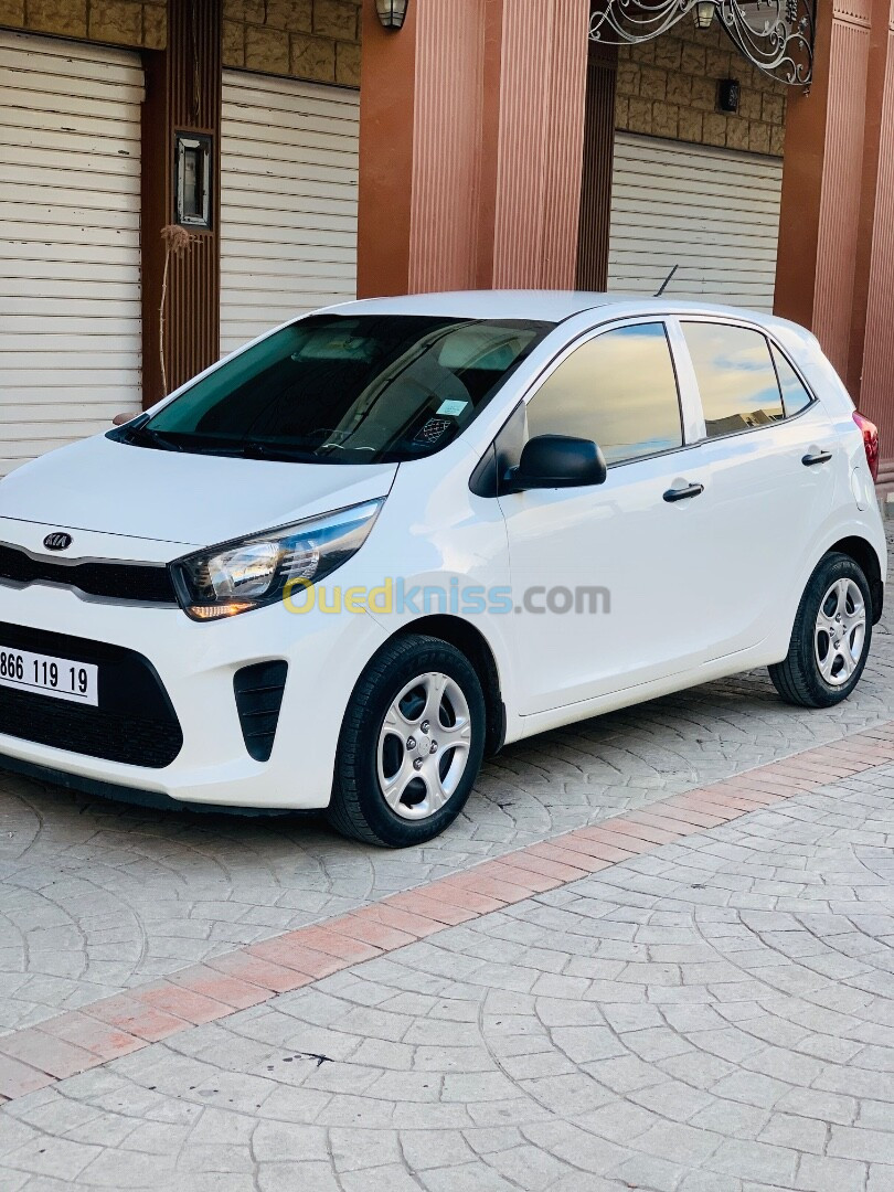 Kia Picanto 2019 Stare +