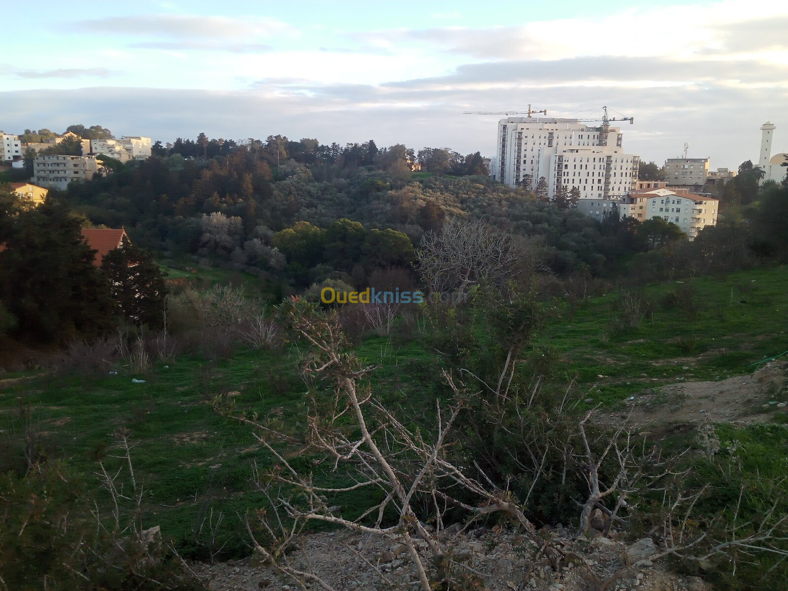 Vente Terrain Alger Bouzareah