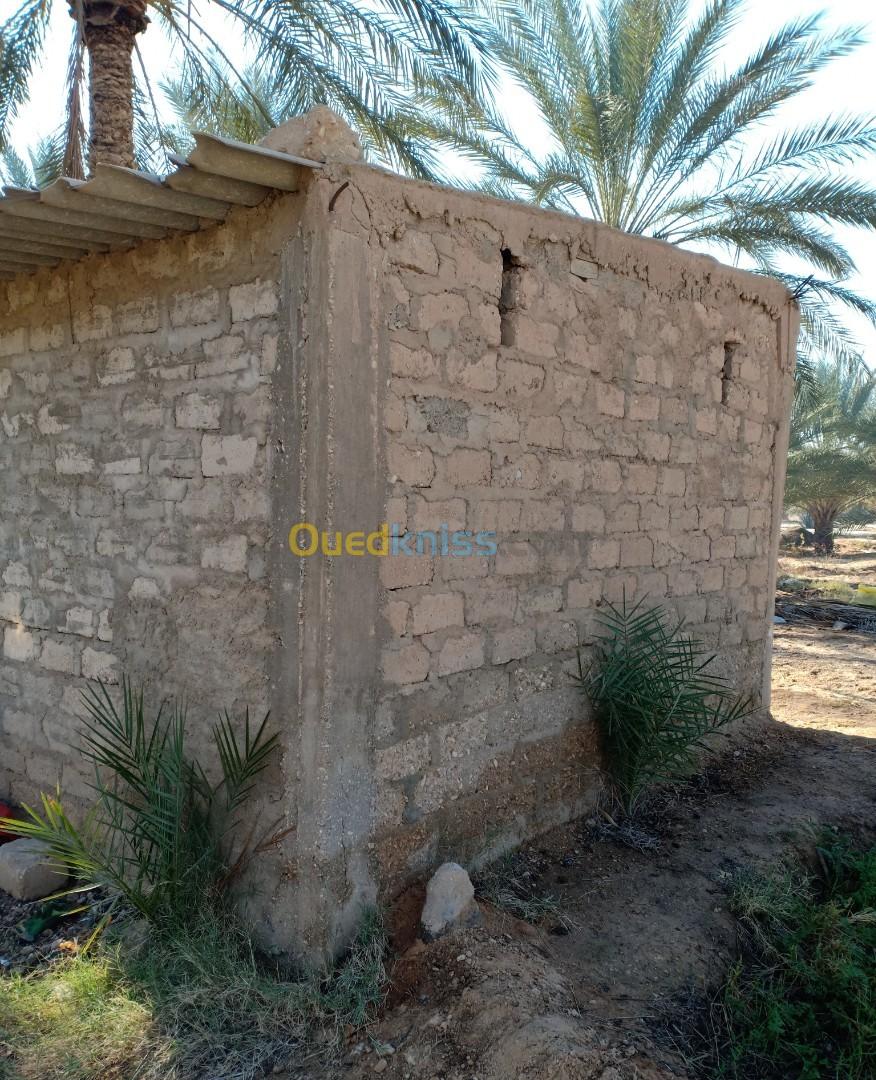 Vente Terrain Agricole Biskra El ghrous