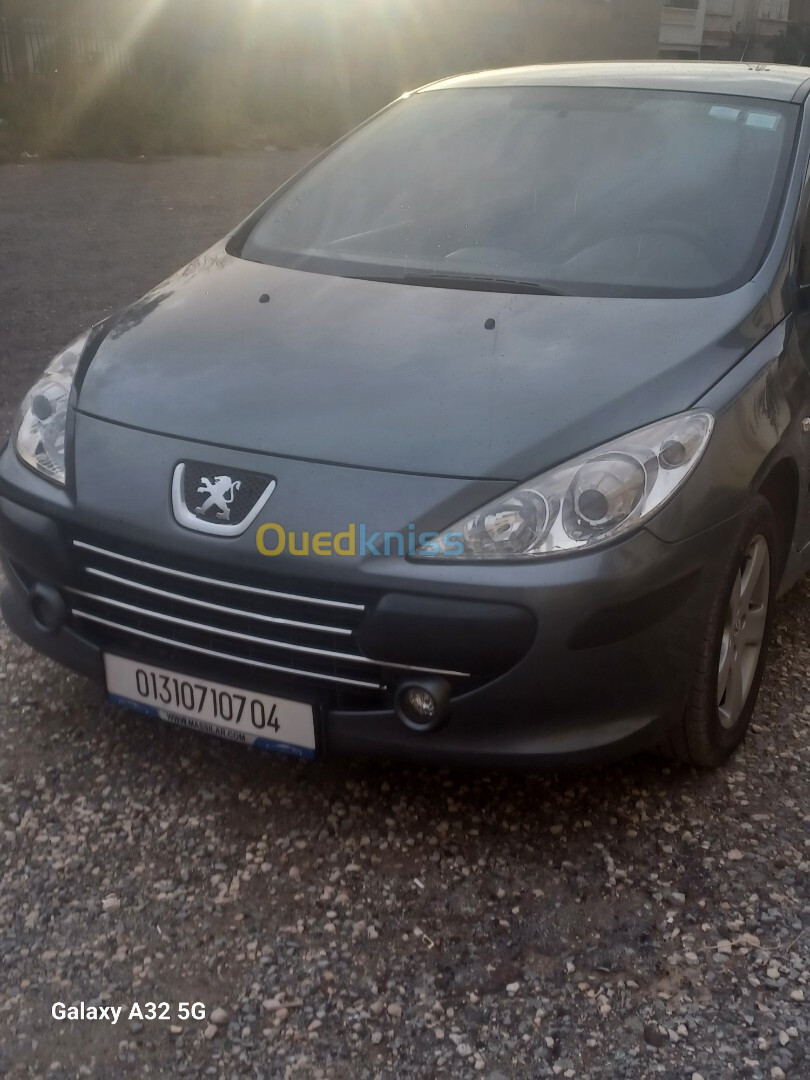 Peugeot 307 2007 307