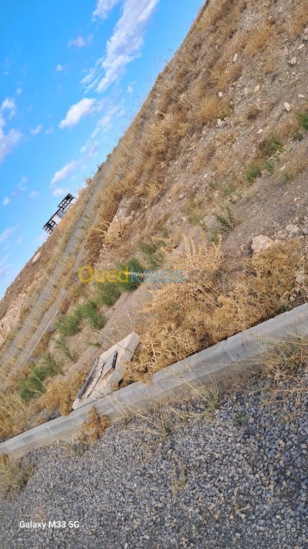 Vente Terrain Sétif Setif