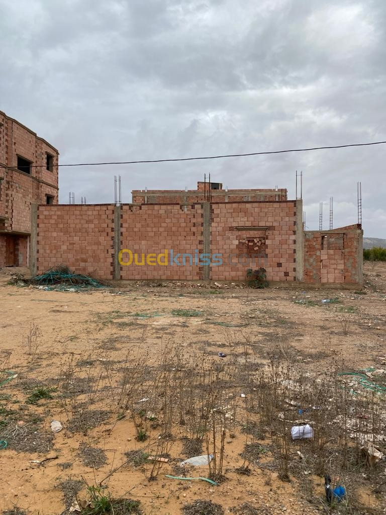 Vente Terrain Mostaganem El hassiane