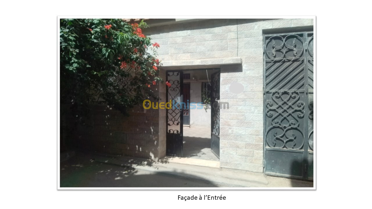 Vente Villa Blida Beni tamou