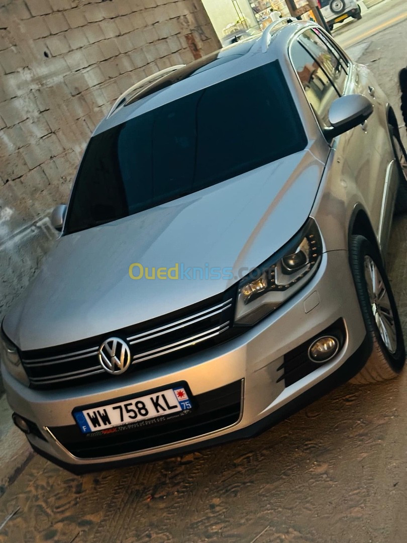 Volkswagen Tiguan 2014 CUP