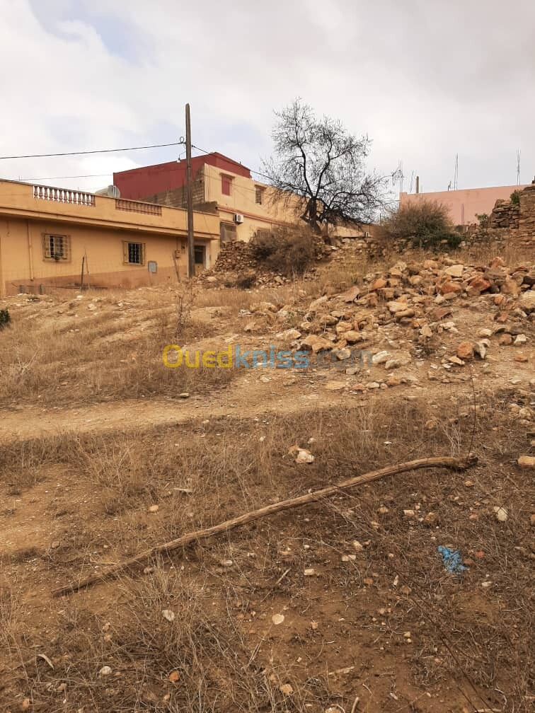 Vente Terrain Tlemcen Nedroma