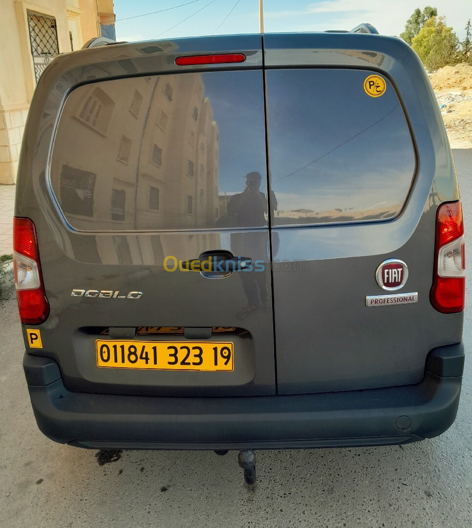 Fiat Professional Doblo 2023 Professional