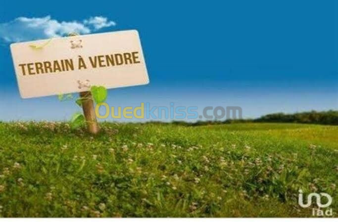 Vente Terrain Tlemcen Tlemcen