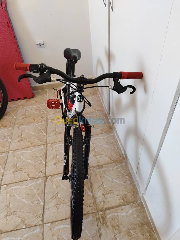 VTT bitwin Rockrider 300