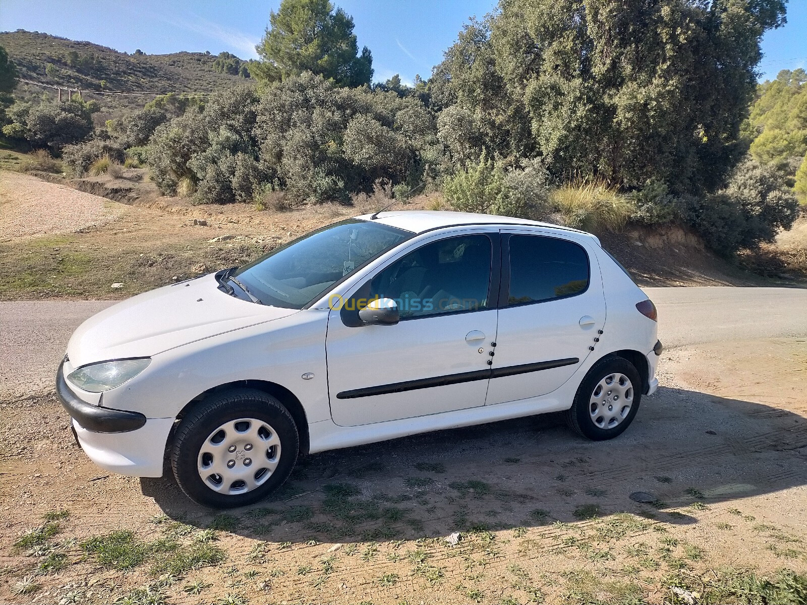 Peugeot 206 2004 206