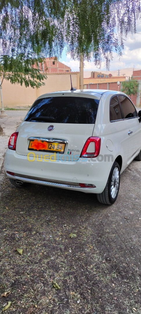 Fiat 500 2024 Club  made in bladi  sant toit ouvrant