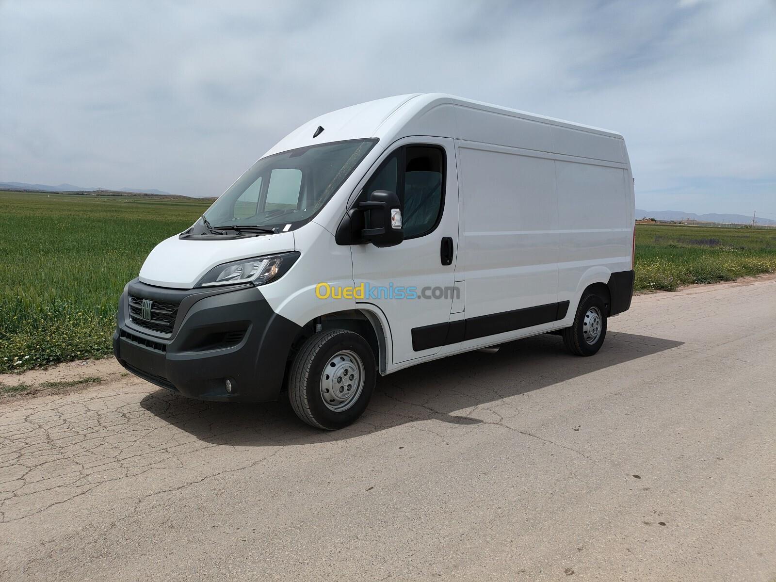 Fiat Ducato 2024 جديدة