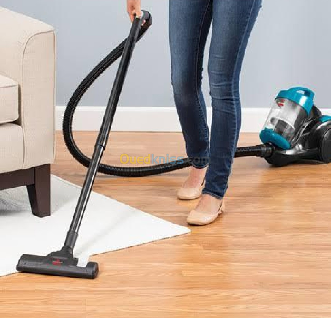 Aspirateur BISSELL EASY VAC 1250 W 