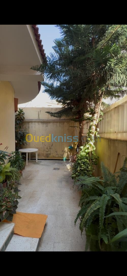 Vente Villa Alger Ouled fayet