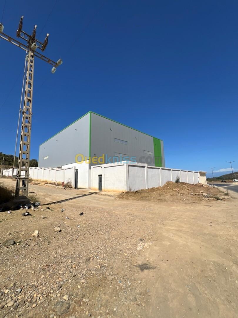 Location Hangar Tipaza Douaouda