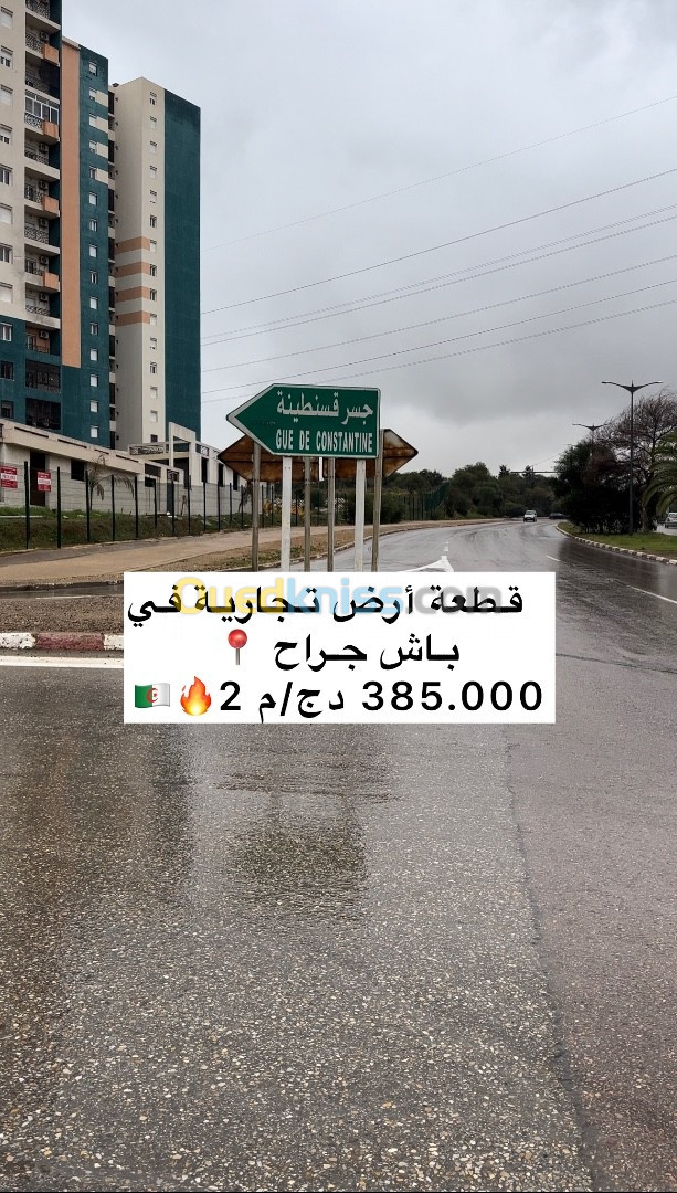 بيع أرض الجزائر باش جراح