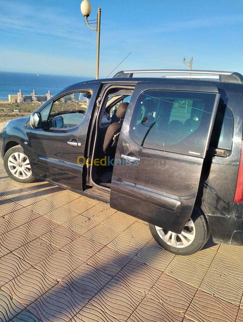 Citroen Berlingo 2010 Berlingo