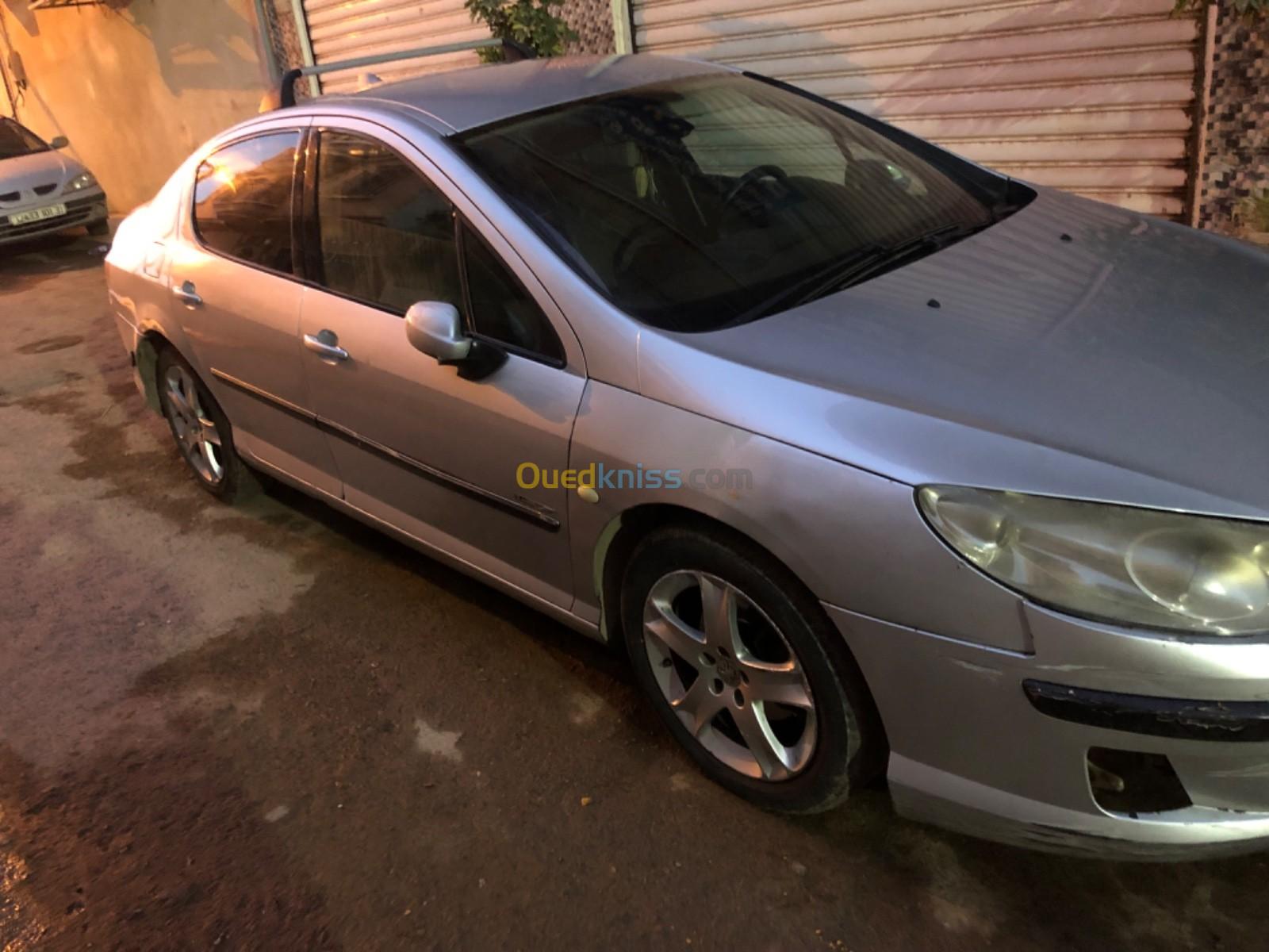 Peugeot 407 2004 407