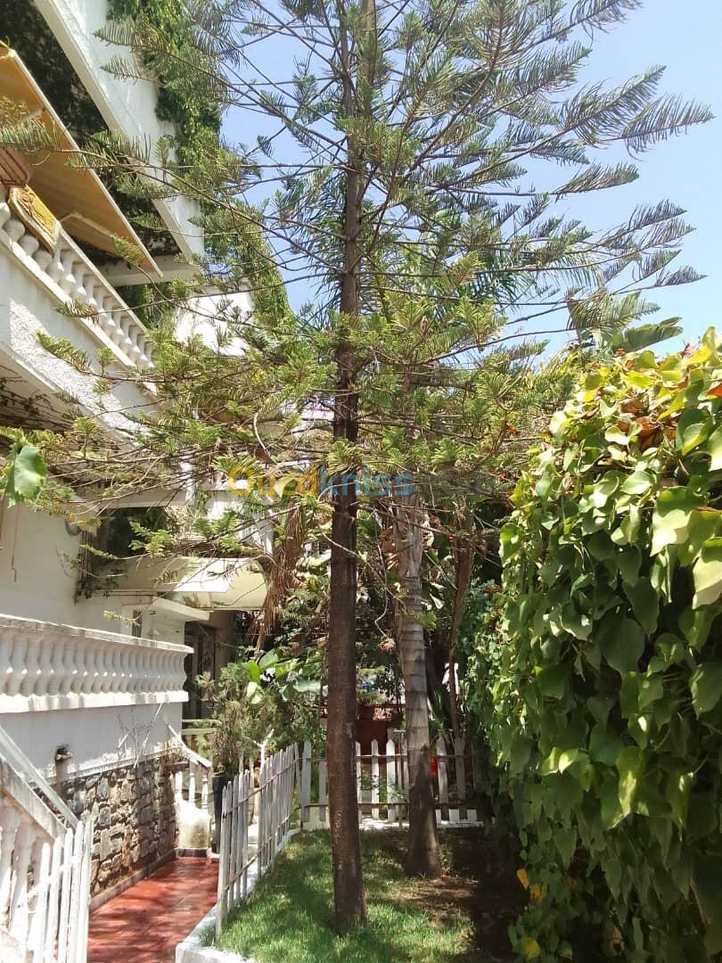 Vente Villa Alger Hydra