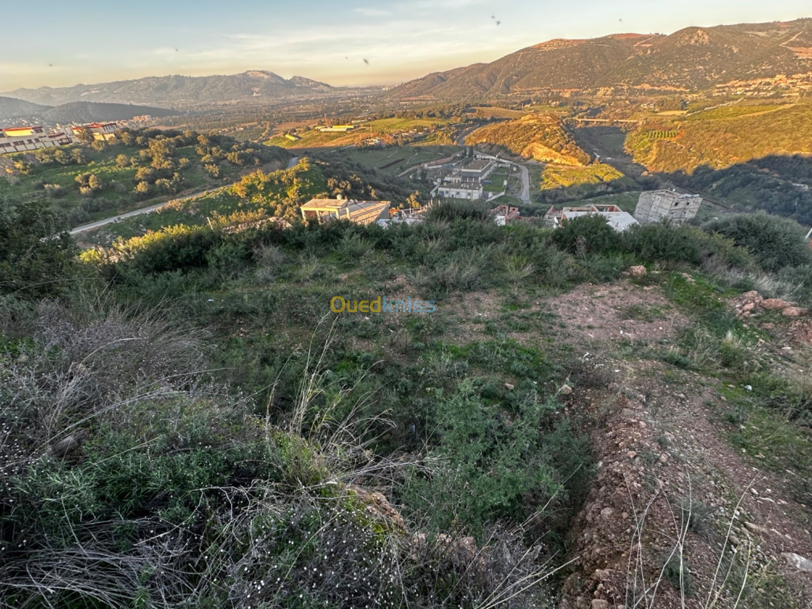 Vente Terrain Boumerdès Beni amrane