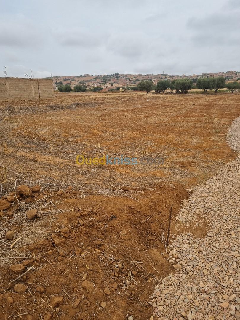 Vente Terrain Relizane Mazouna