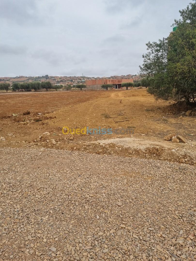 Vente Terrain Relizane Mazouna