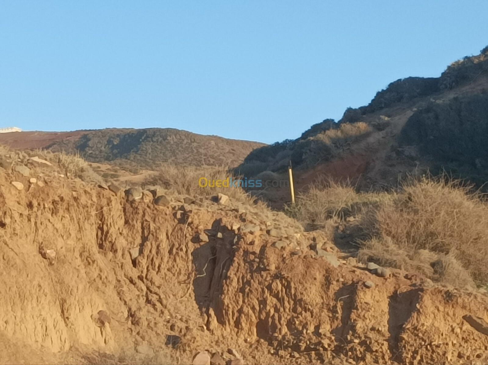 Vente Terrain Aïn Témouchent Oulhaca el gheraba