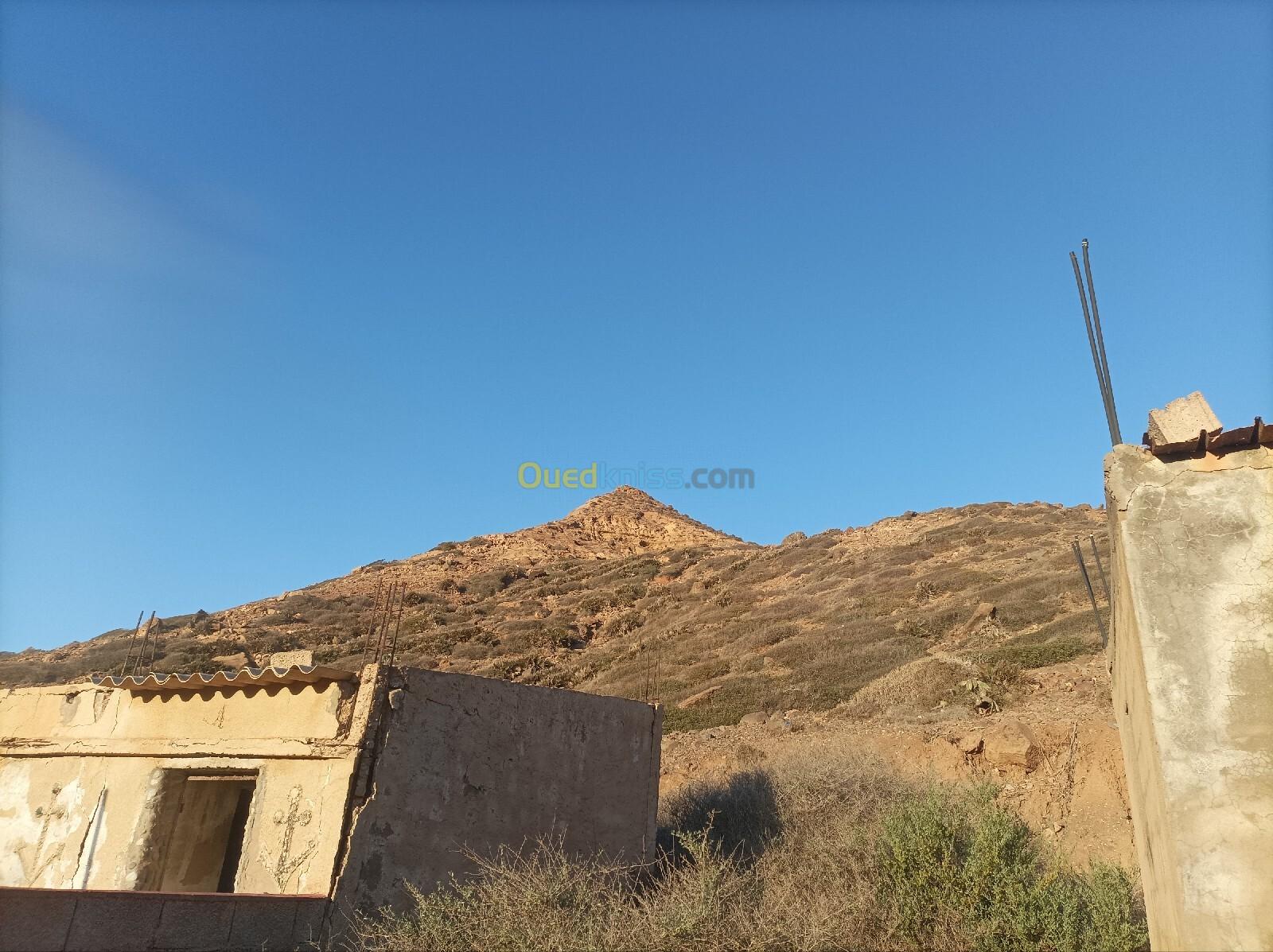 Vente Terrain Aïn Témouchent Oulhaca el gheraba